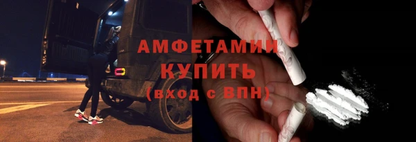 ешки Болотное